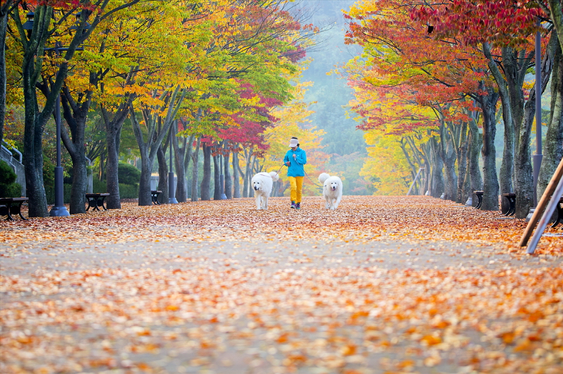 파일1 설명